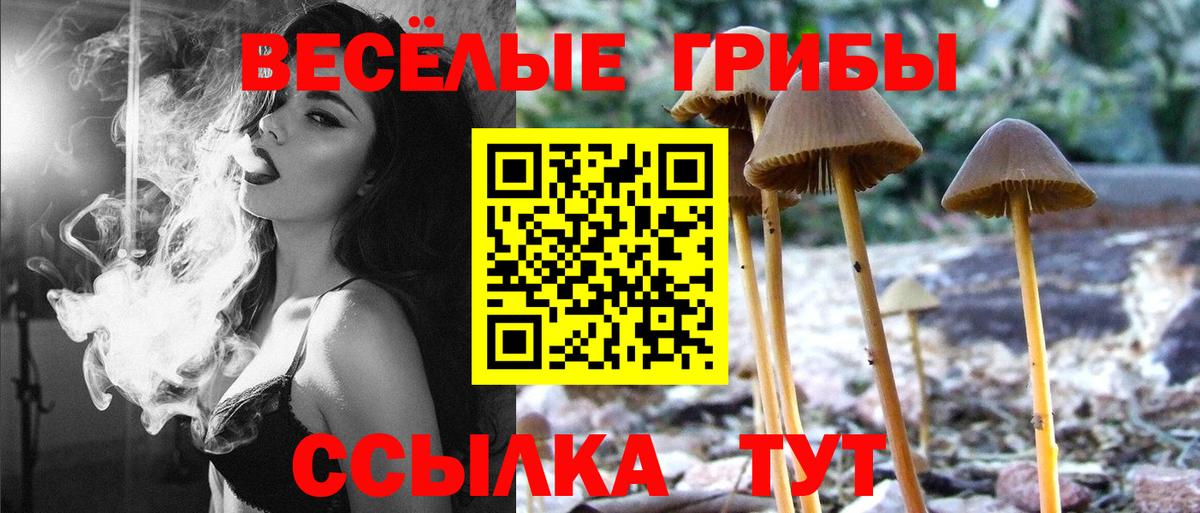 Галлюциногенные грибы мицелий Магадан