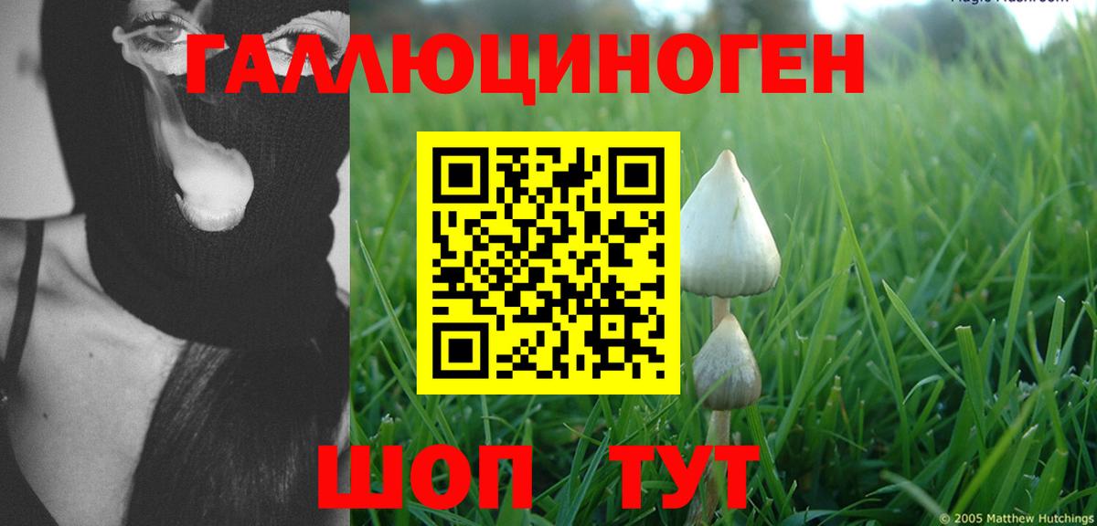 Магадан  Галлюциногенные грибы мицелий  Галлюциногенные грибы Psilocybine cubensis  Вход с VPN 